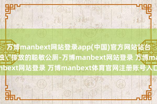 万博manbext网站登录app(中国)官方网站站台翻新性地新增了