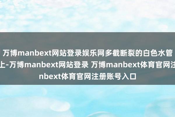 万博manbext网站登录娱乐网多截断裂的白色水管洒落在大地上-万博manbext网站登录 万博manbext体育官网注册账号入口