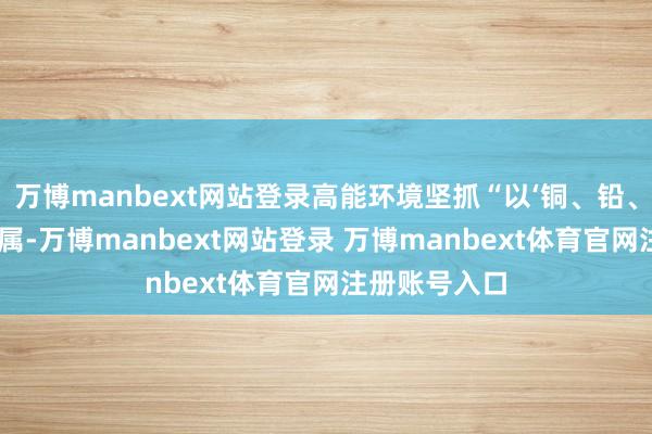 万博manbext网站登录高能环境坚抓“以‘铜、铅、镍’为主要金属-万博manbext网站登录 万博manbext体育官网注册账号入口